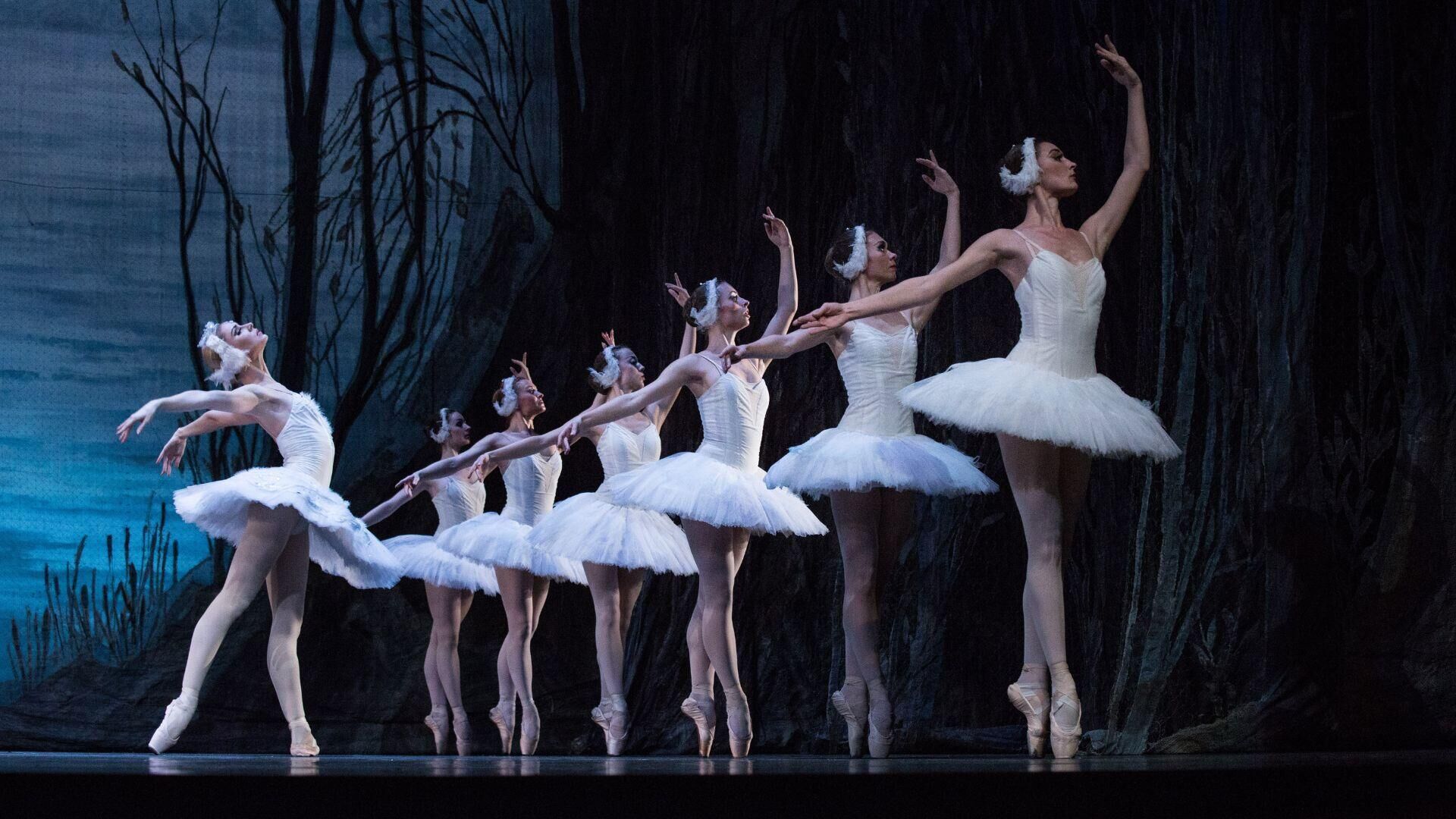 Swan Lake - Kharkiv City Ballet 