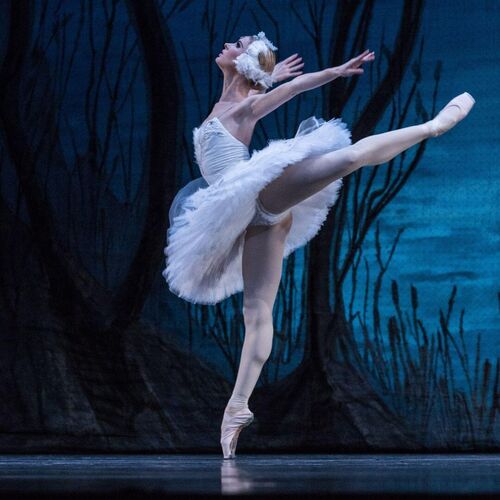 Het Zwanenmeer - Charkiv City Ballet Weert