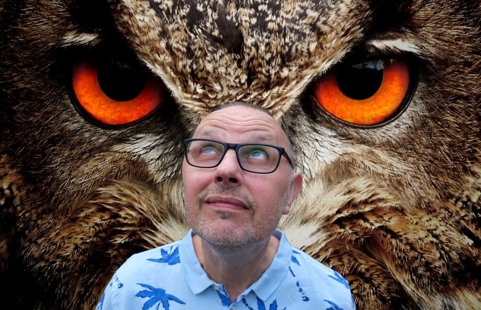Mark van de Veerdonk