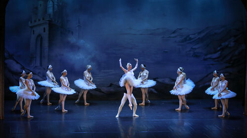 The Ukrainian Ballet Of Peace