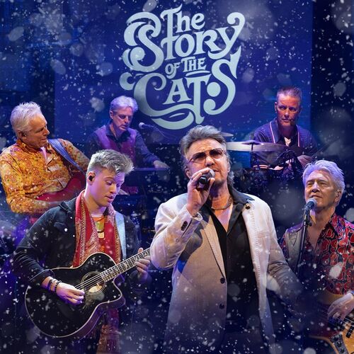 Winter is here - The Story of the Cats